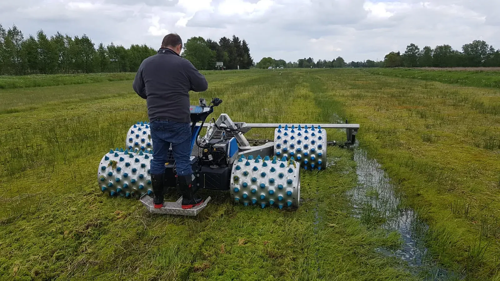 Brielmaier en zone humide
