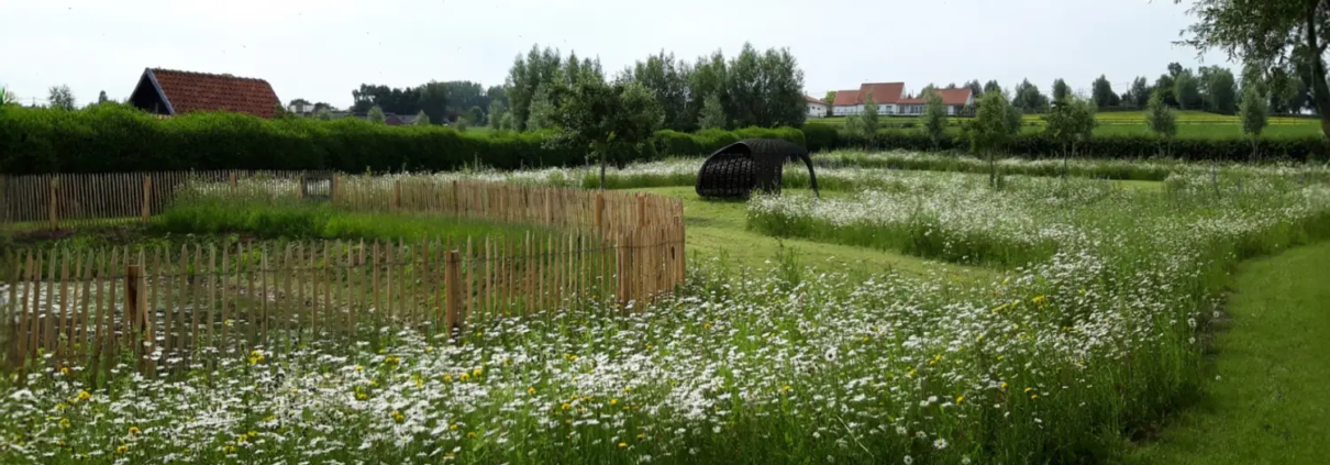 Ecologisch maaibeheer