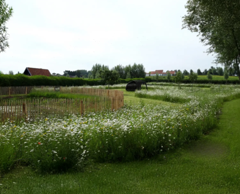 Ecologisch maaibeheer