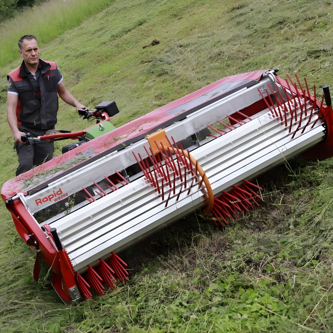 Wilde bloemenzaden oogsten