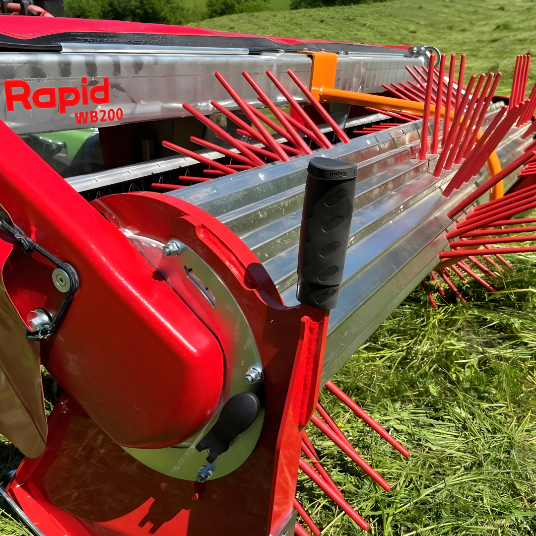 Wilde bloemenzaden oogsten (3) Récolter des graines de fleurs sauvages