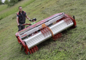 Wilde bloemenzaden oogsten