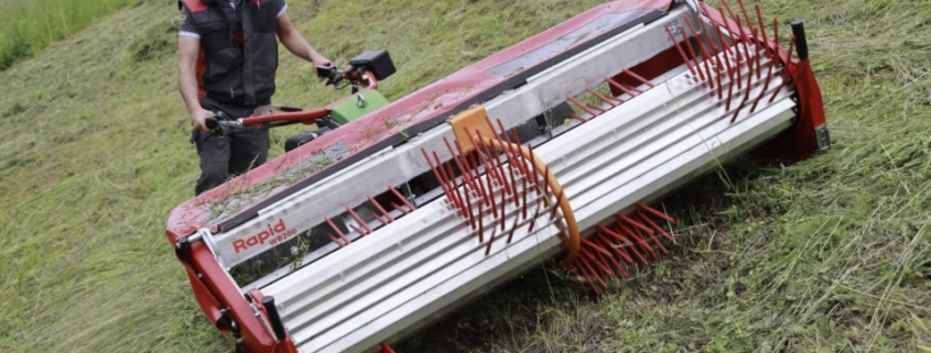 Wilde bloemenzaden oogsten