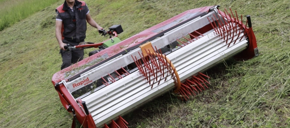 Wilde bloemenzaden oogsten