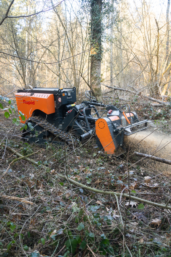 vario_d501_dsc9039 (2)